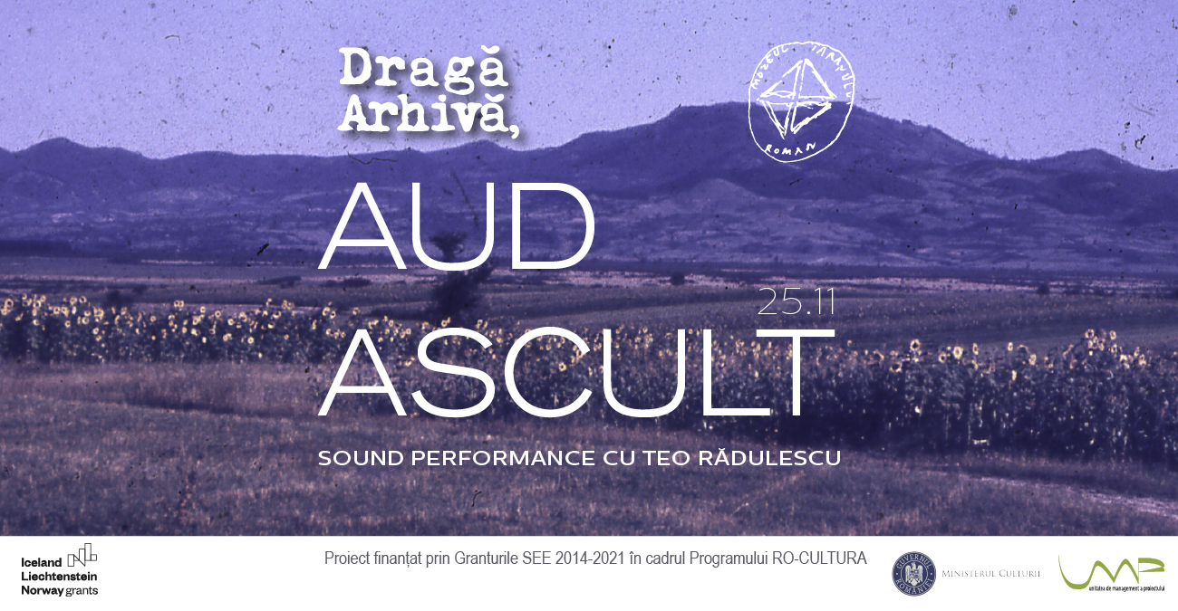 AUD.ASCULT | SOUND PERFORMANCE CU TEO RĂDULESCU