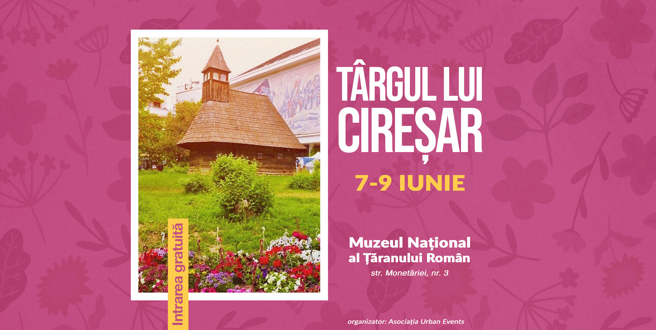 TÂRGUL LUI CIREȘAR