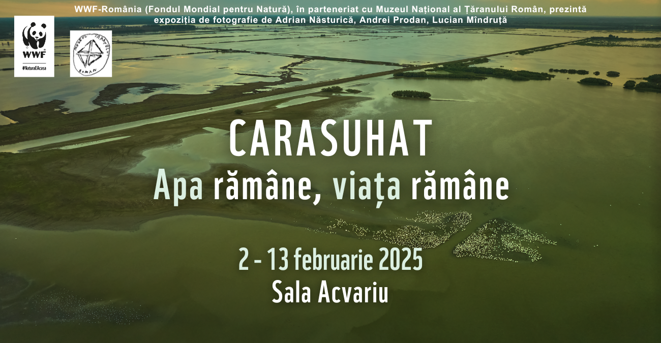 Carasuhat: Apa rămâne, viața rămâne