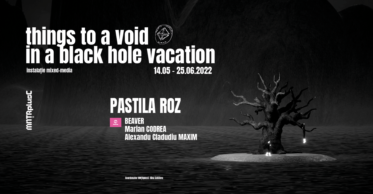 Things to a void in a black hole vacation